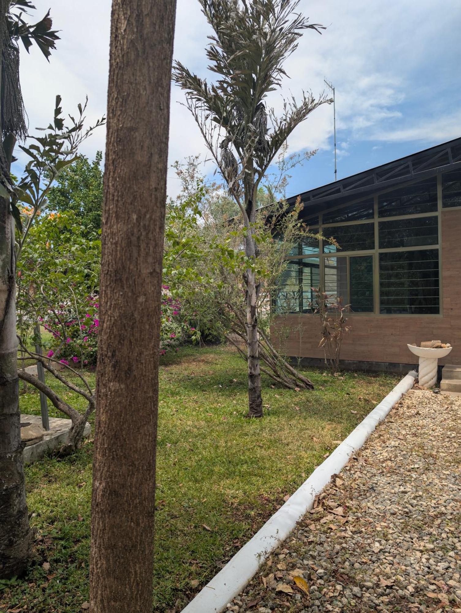 Los Cedros Uayamón Екстериор снимка